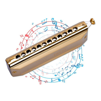 16 Hole 64 Tone Chromatic Harmonica