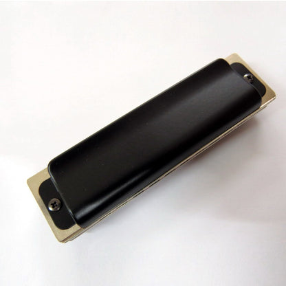 10 Hole Diatonic Blues Harmonica - Easttop T008K