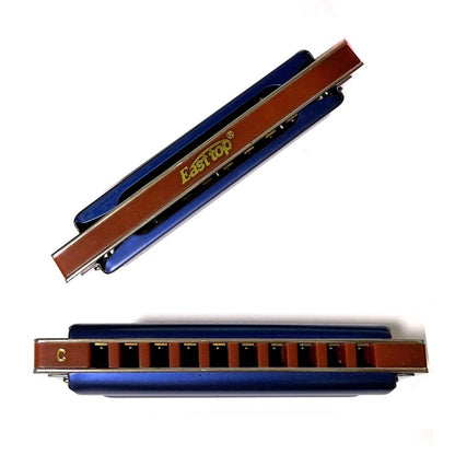 10 Hole Diatonic Blues Harmonica - Easttop T008K