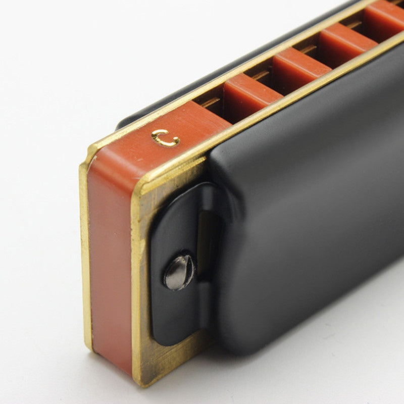 10 Hole Diatonic Blues Harmonica - Easttop T008K