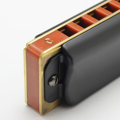 10 Hole Diatonic Blues Harmonica - Easttop T008K