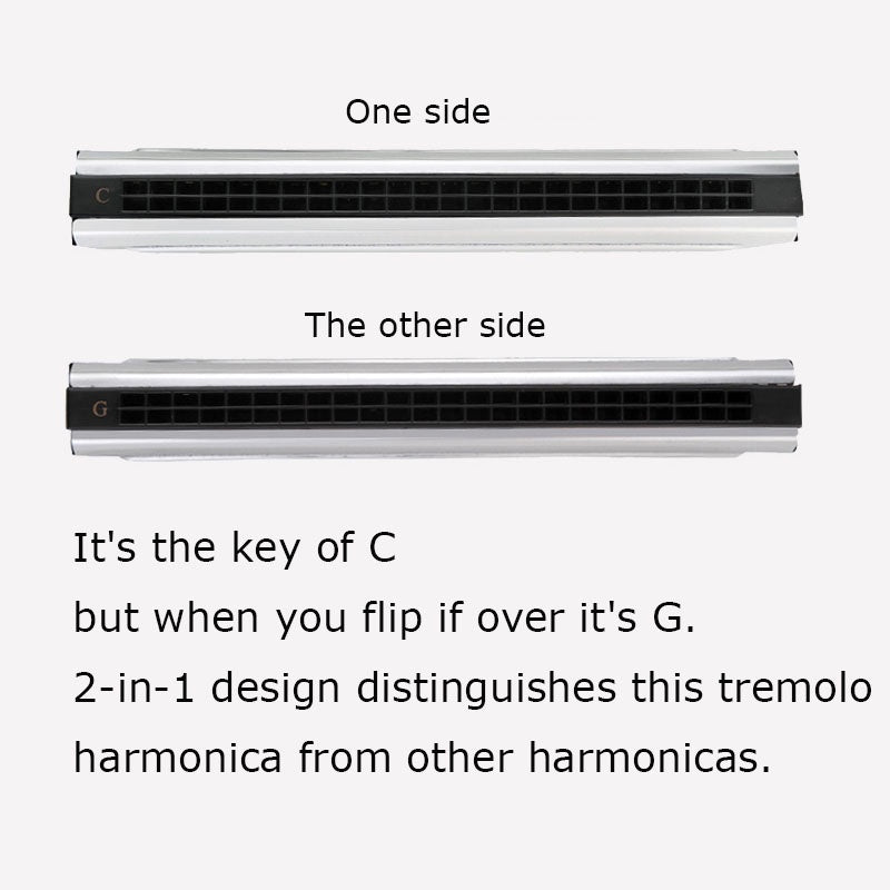 2-in-1 Tremolo Harmonica of C&G 24 Double Holes Wind Instrument