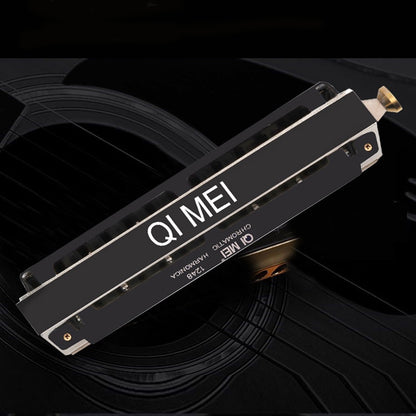Wind Instrument Performance Competition 10 Hole 40 Tone or 12 Hole 48 Tone Chromatic Harmonica