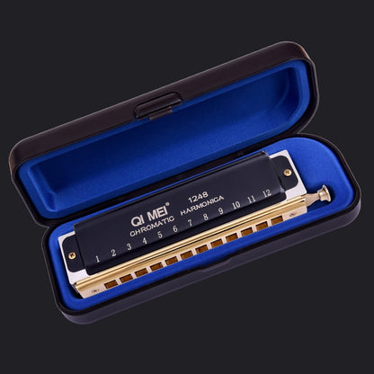 Wind Instrument Performance Competition 10 Hole 40 Tone or 12 Hole 48 Tone Chromatic Harmonica