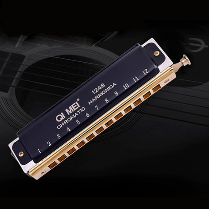 Wind Instrument Performance Competition 10 Hole 40 Tone or 12 Hole 48 Tone Chromatic Harmonica