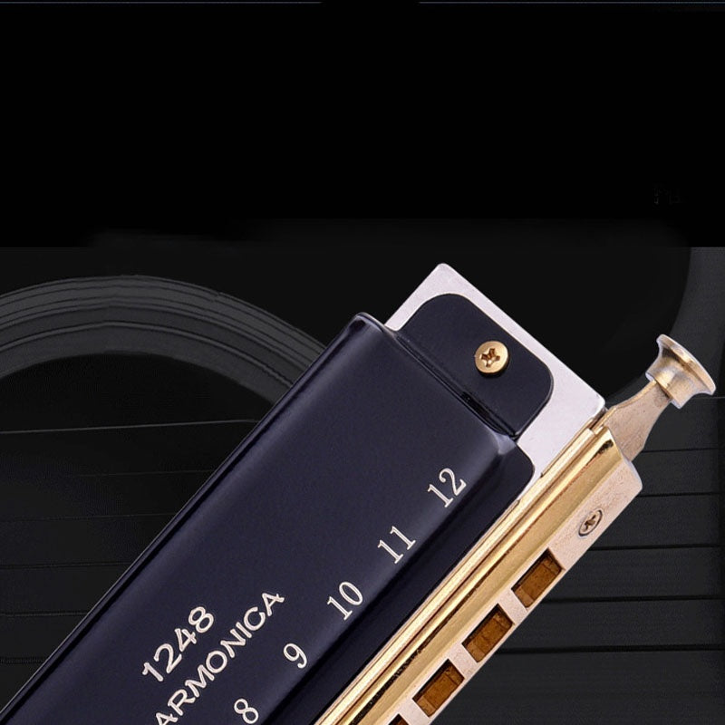 Wind Instrument Performance Competition 10 Hole 40 Tone or 12 Hole 48 Tone Chromatic Harmonica