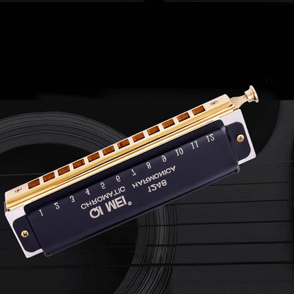 Wind Instrument Performance Competition 10 Hole 40 Tone or 12 Hole 48 Tone Chromatic Harmonica