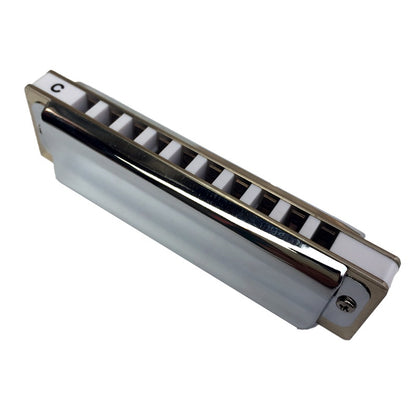 Harmonica 10 Holes Blues Harp paddy harmonica with Clear and Rich Sounds