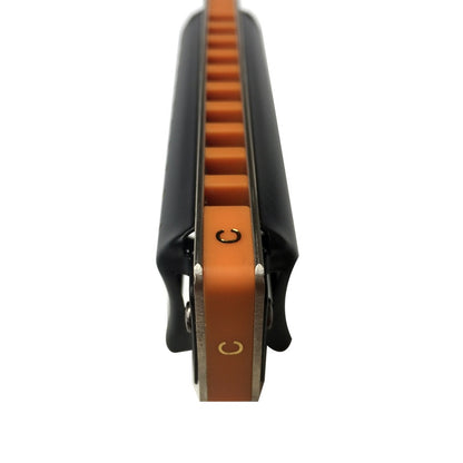 10-holes Harp £¬Diatonic Harmonica