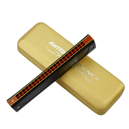 22 Holes Professional Tremolo Harmonica, Folk and Country Performance Musical Instruments