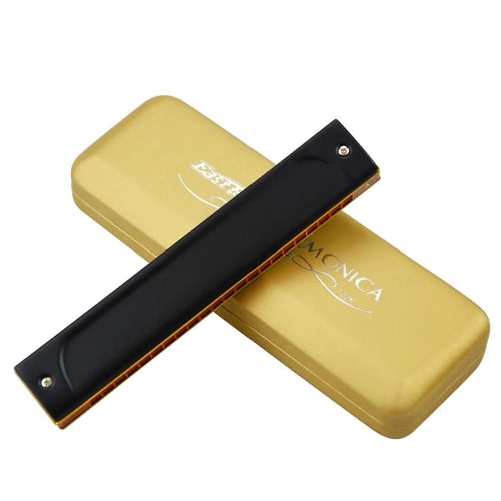 22 Holes Professional Tremolo Harmonica, Folk and Country Performance Musical Instruments