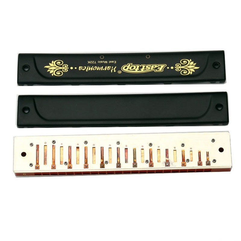 22 Holes Professional Tremolo Harmonica, Folk and Country Performance Musical Instruments