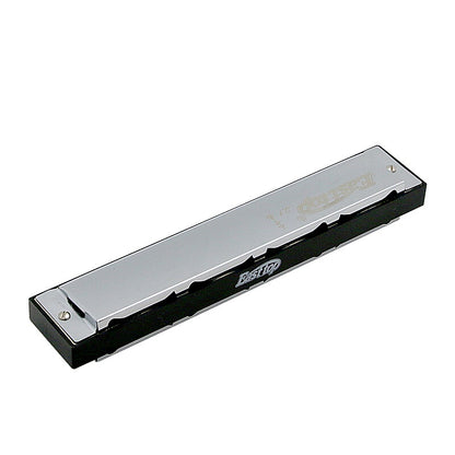 21 Holes Tremolo Harmonica, Professional Folk and Country Performance Musical Instruments