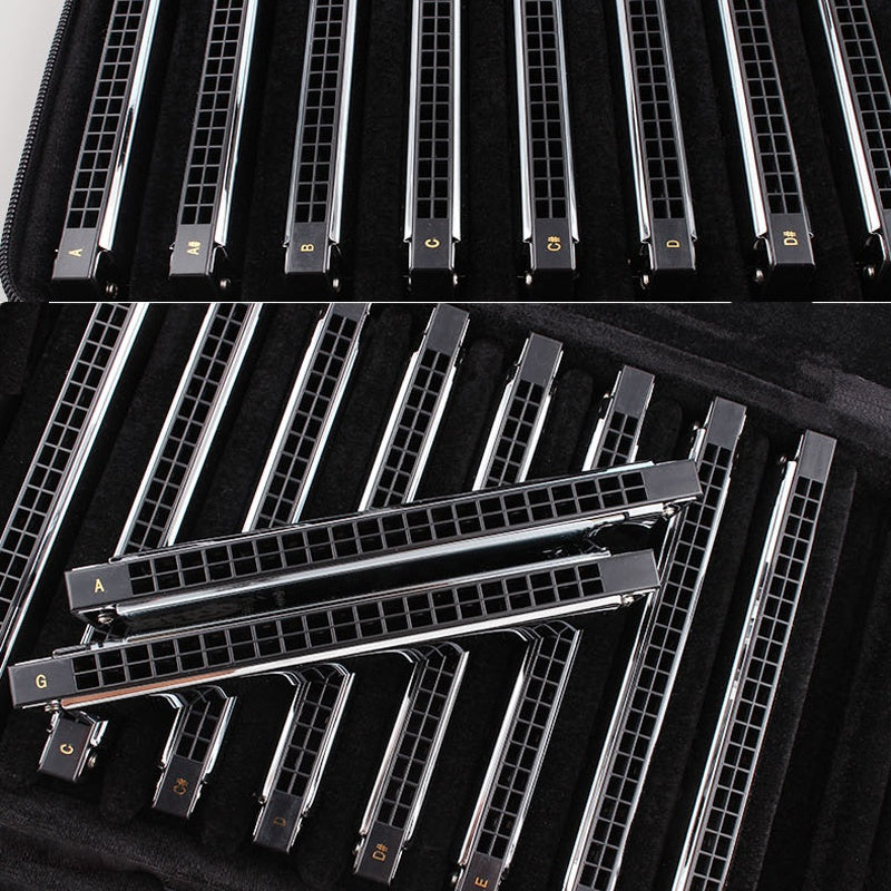 21 Holes Tremolo Harmonica, Professional Folk and Country Performance Musical Instruments