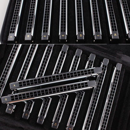 21 Holes Tremolo Harmonica, Professional Folk and Country Performance Musical Instruments
