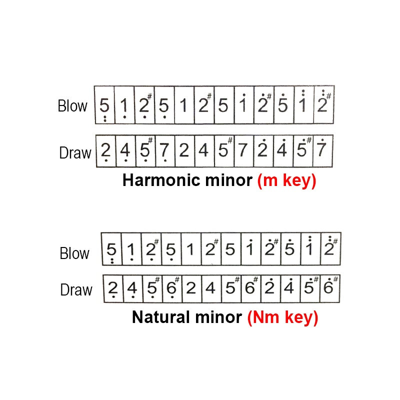 Easttop T2406S 24holes Tremolo Harmonica