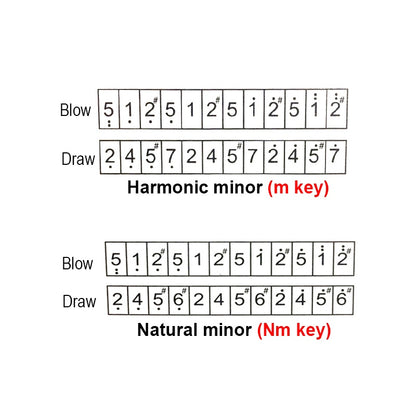 Easttop T2406S 24holes Tremolo Harmonica