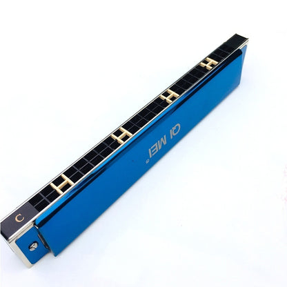 Playing Harmonica, 24-hole Tremolo Harmonica