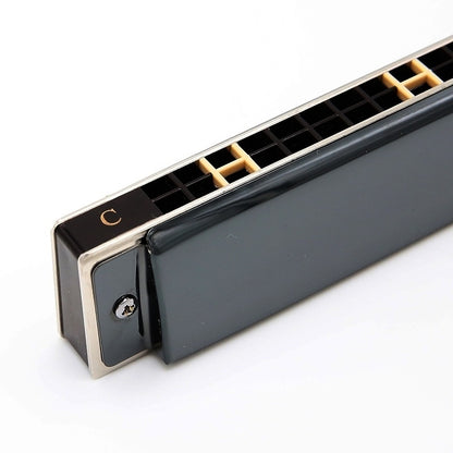Playing Harmonica, 24-hole Tremolo Harmonica