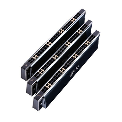 Playing Harmonica, 24-hole Tremolo Harmonica