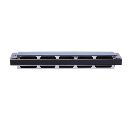 Playing Harmonica, 24-hole Tremolo Harmonica