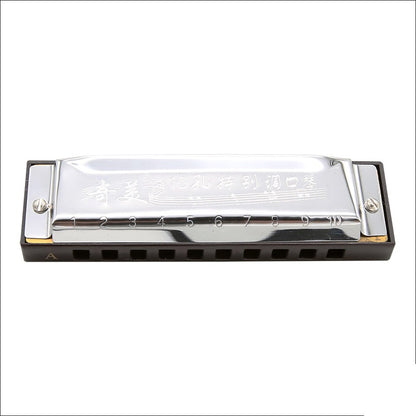 Blues Harp,10 Hole Diatonic Harmonica